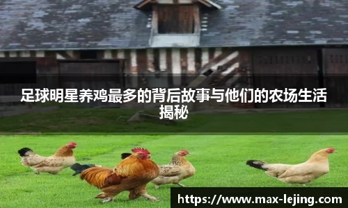 乐竞体育官方网站